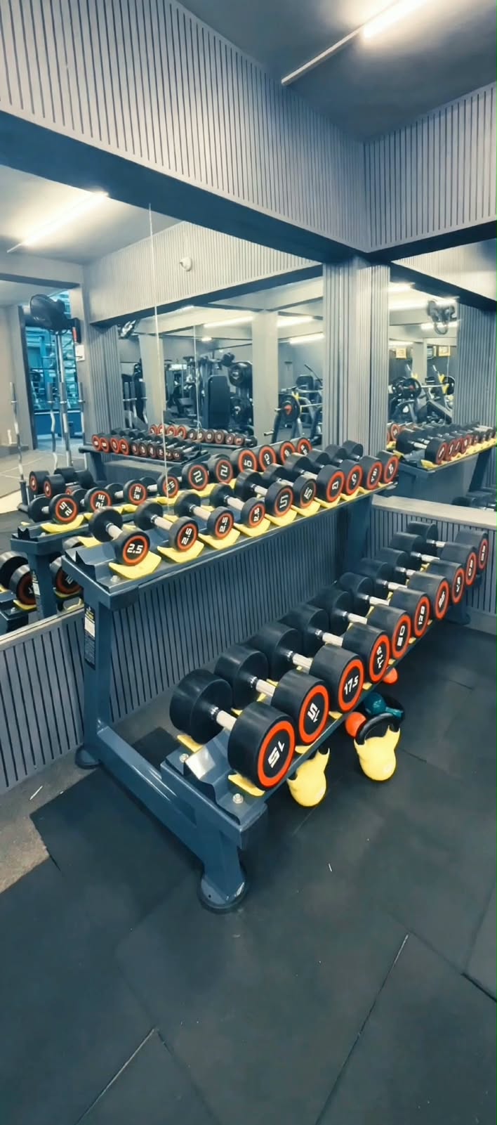 Free Weights Dumbbell Rack